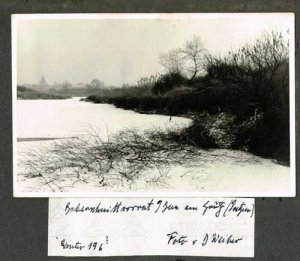 biberschnittvorrat-und-bau-bei-pretzien-winter-1960