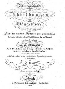 schinz-naturgeschichte-und-abbildungen-der-saeugethiere-1827