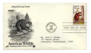 ersttagsbriefmarke-usa-22-cent