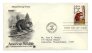 ersttagsbriefmarke-usa-22-cent