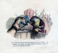 biber_grafik_scenes_des_animaux_grandville_1842_web