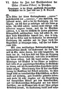 bujack_verschwinden_biber_preussen_1836