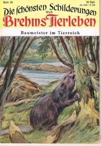 dunkel-baumeister-im-tierreich-1954